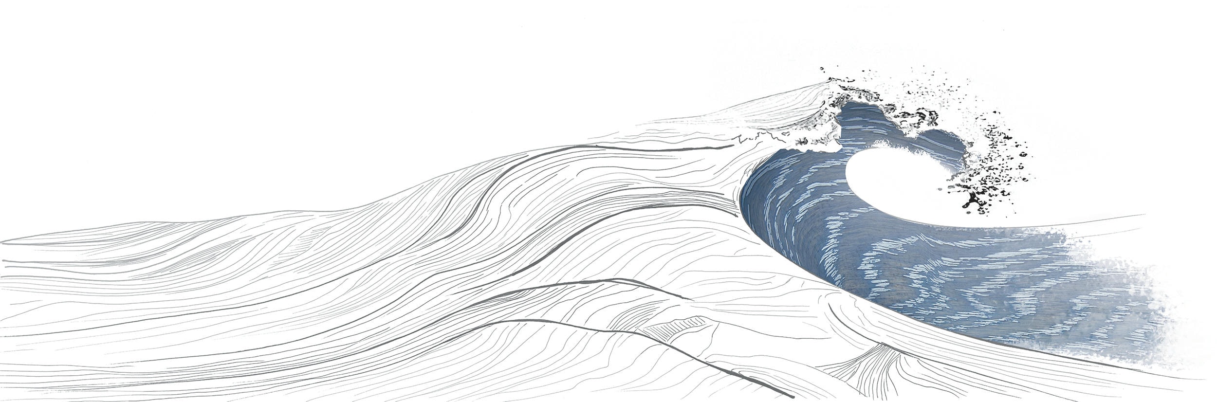 Aquawood illustration