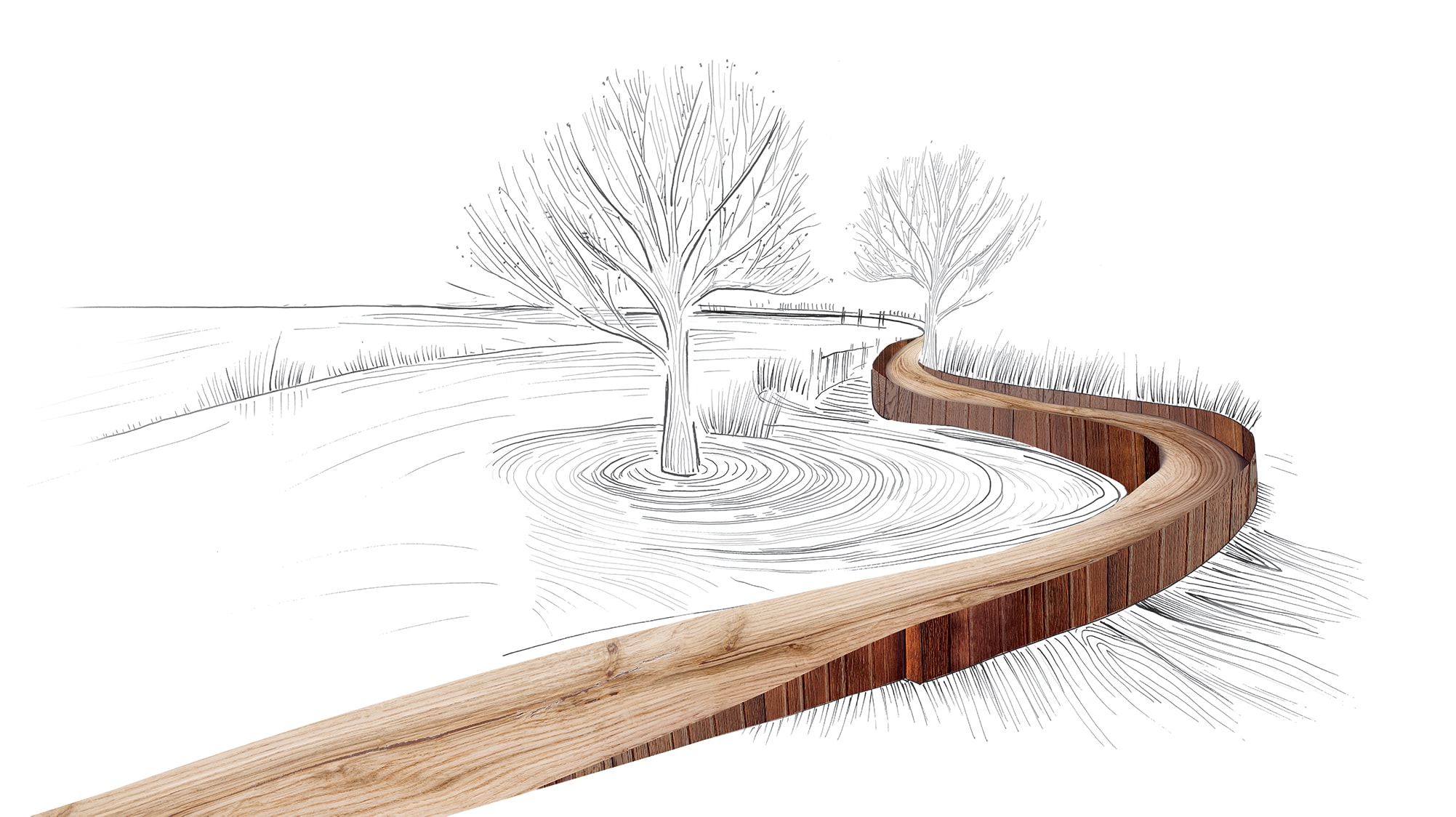 Illustrazione a matita di un paesaggio naturale attraversato da un ruscello color parquet